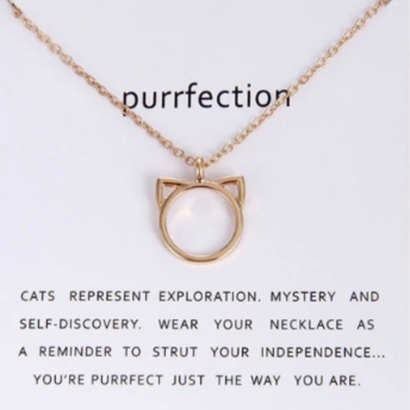 Purrfection Cat Necklace with Card - Picture 1 of 3